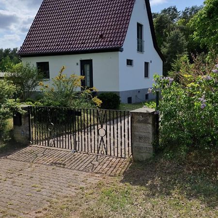 Mecklenburgische Seenplatte - Fh Mit Optionalem Steg Und Ruderboot Grosszerlang Bagian luar foto